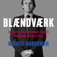 Blændværk – En fortælling om Donald Trumps fremgang og USA’s fald