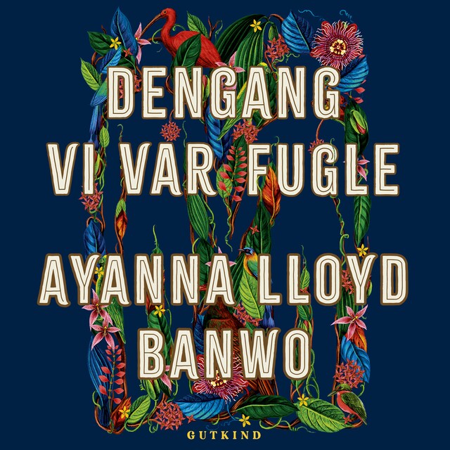 Book cover for Dengang vi var fugle