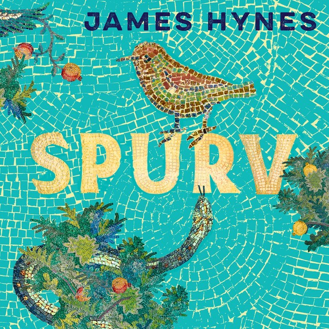 Book cover for Spurv