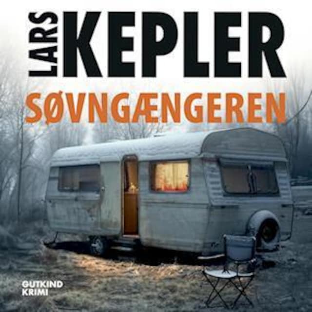 Buchcover für Søvngængeren