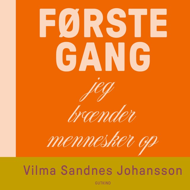 Book cover for Første gang jeg brænder mennesker op