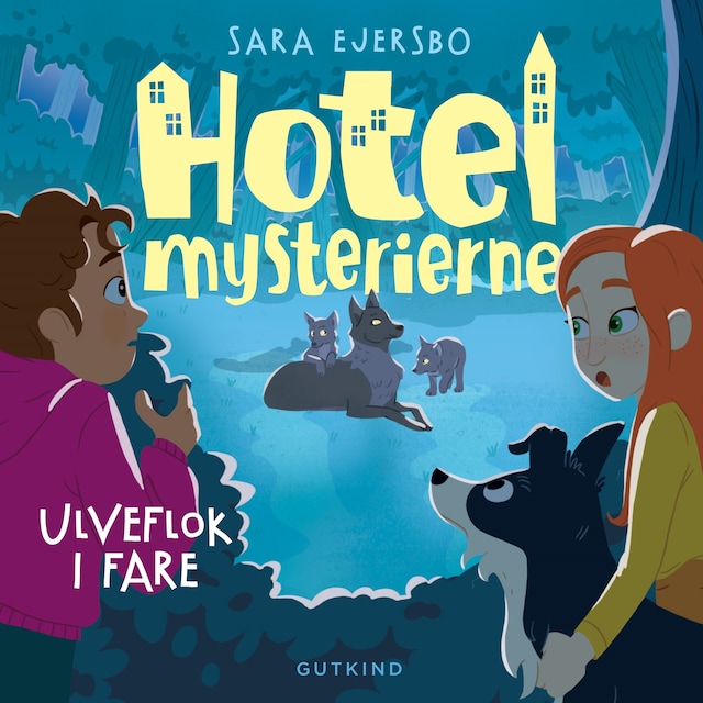Book cover for Hotelmysterierne - Ulveflok i fare