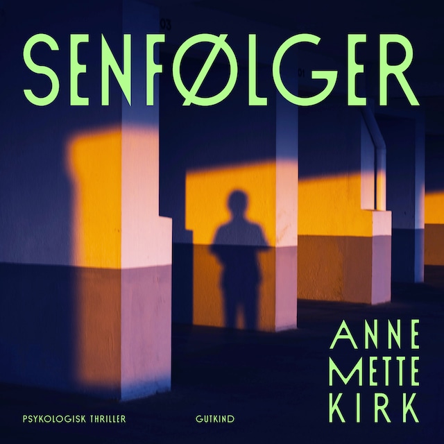 Senfølger Bogomslag for Senfølger