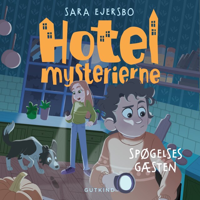 Book cover for Hotelmysterierne - Spøgelsesgæsten