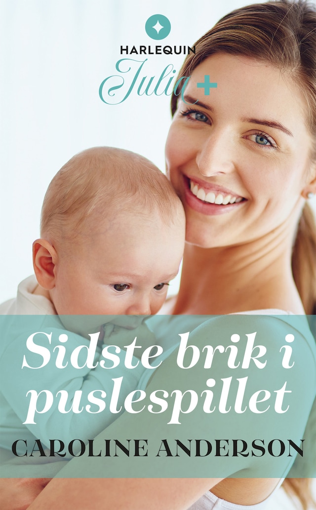 Bogomslag for Sidste brik i puslespillet