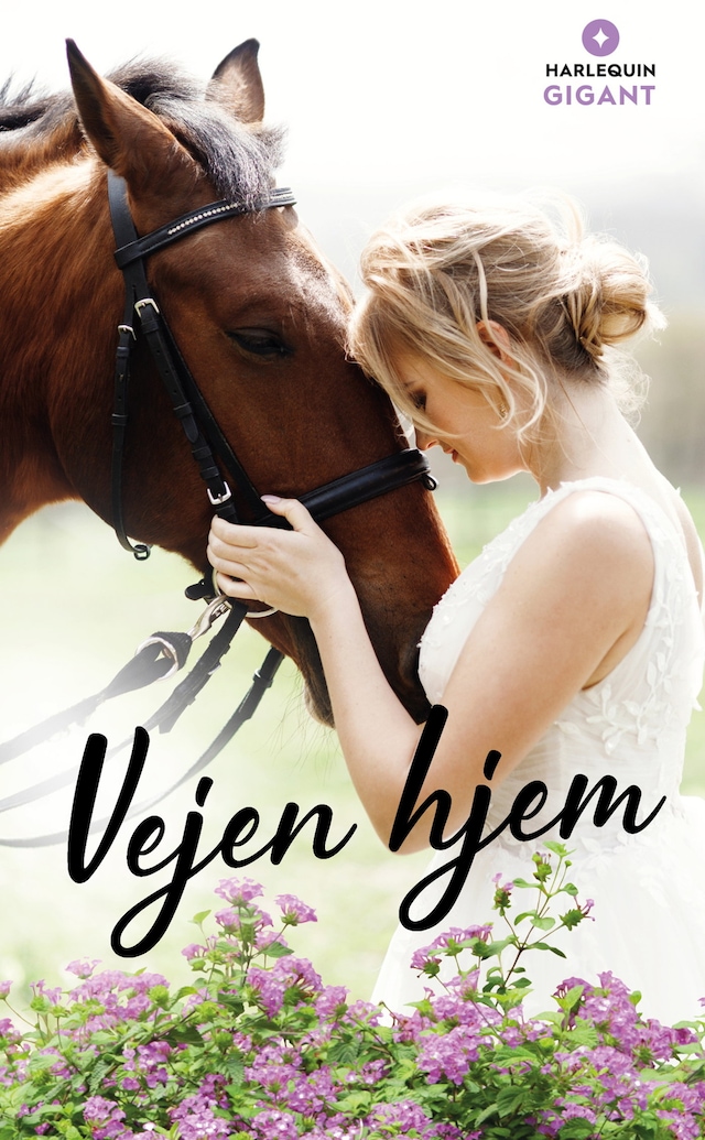 Buchcover für Vejen hjem