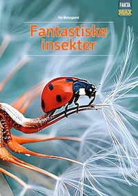 Fantastiske insekter