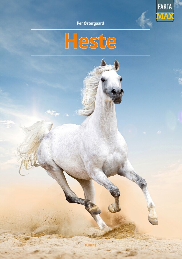 Copertina del libro per Heste