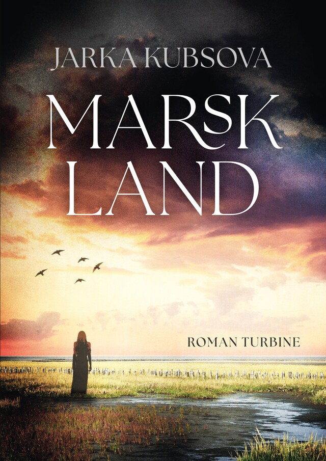 Buchcover für Marskland