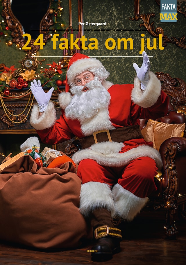 Couverture de livre pour 24 fakta om jul