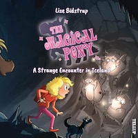The Magical Pony #8: A Strange Encounter in Iceland