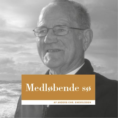 Medløbende sø