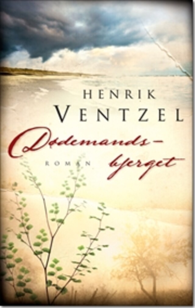 Book cover for Dødemandsbjerget