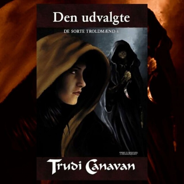 Book cover for De Sorte Troldmænd #4: Den udvalgte