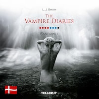 The Vampire Diaries #8: Fantomet