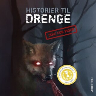 Historier til drenge #1: Historier til drenge [IKKE FOR PIGER] lydbog