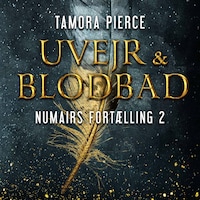 Numairs fortælling #2: Uvejr og blodbad