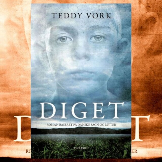 Book cover for Diget