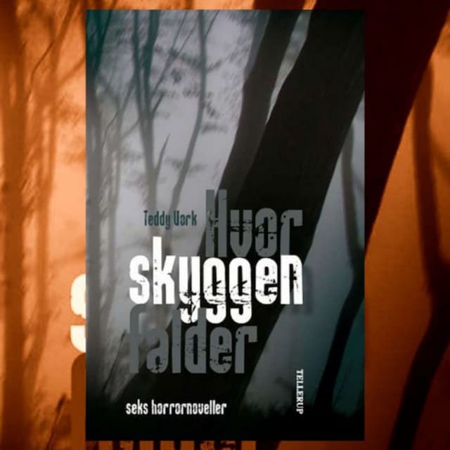 Book cover for Hvor skyggen falder