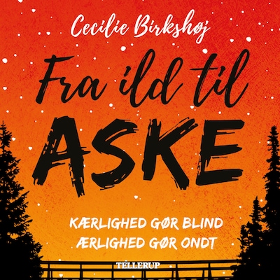 Det ingen ser #1: Fra ild til aske