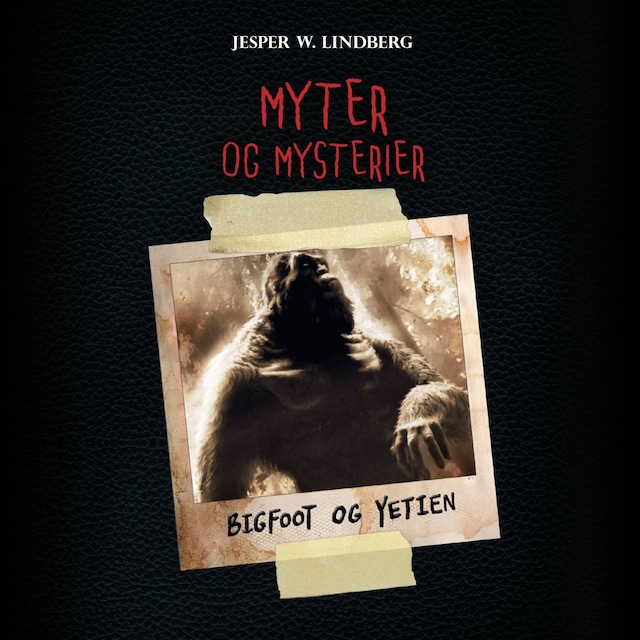 Book cover for Myter og mysterier #2: Bigfoot og Yetien