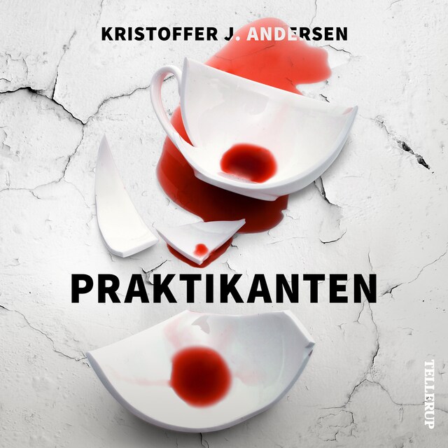 Book cover for Praktikanten