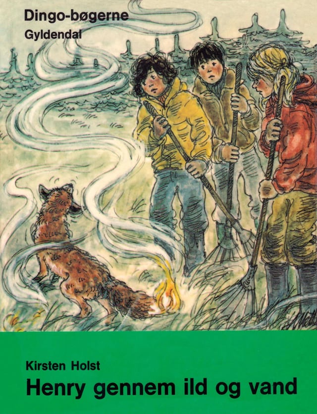 Book cover for Henry gennem ild og vand