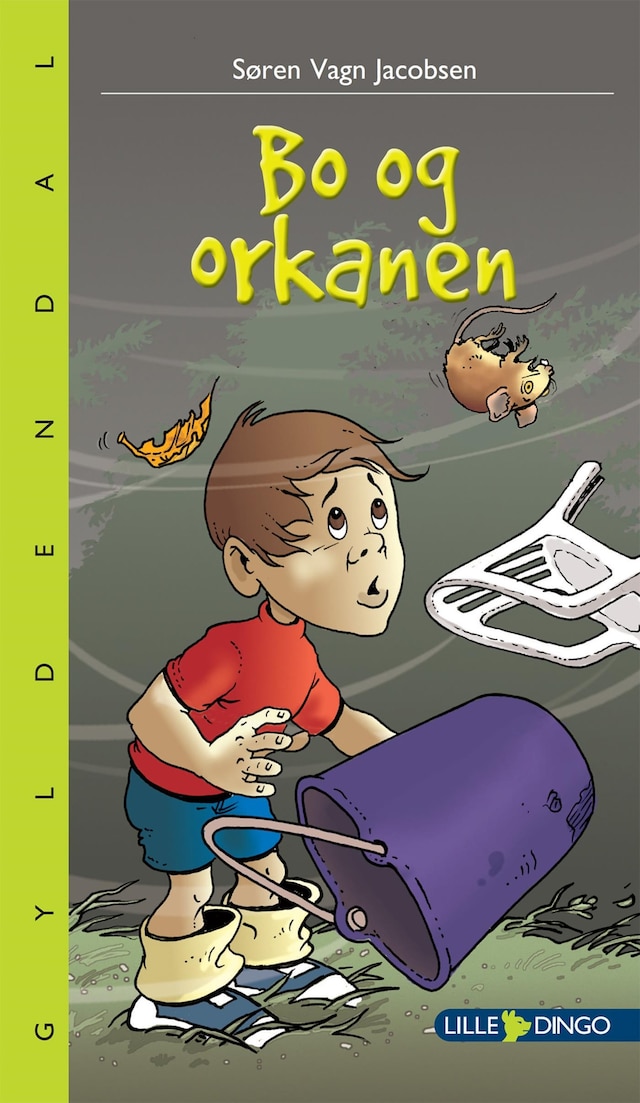 Book cover for Bo og orkanen