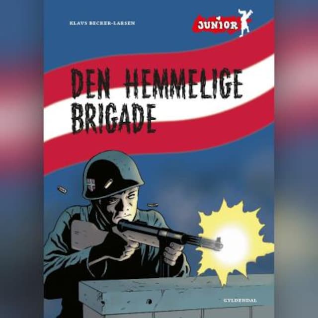 Buchcover für Den hemmelige brigade