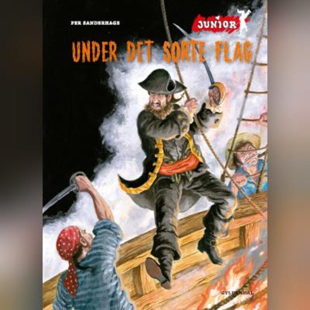 Book cover for Under det sorte flag