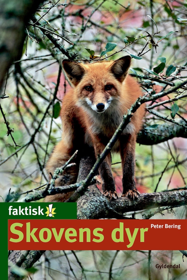 Okładka książki dla Skovens dyr - Lyt&læs