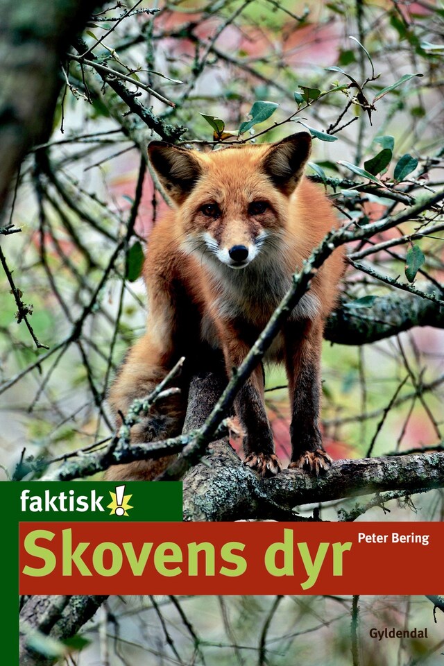 Buchcover für Skovens dyr - Lyt&læs