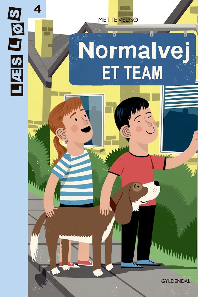 Book cover for Normalvej. Et team