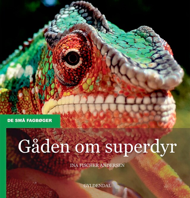 Buchcover für Gåden om superdyr