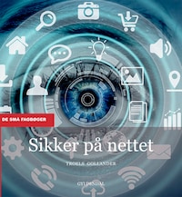 Sikker på nettet