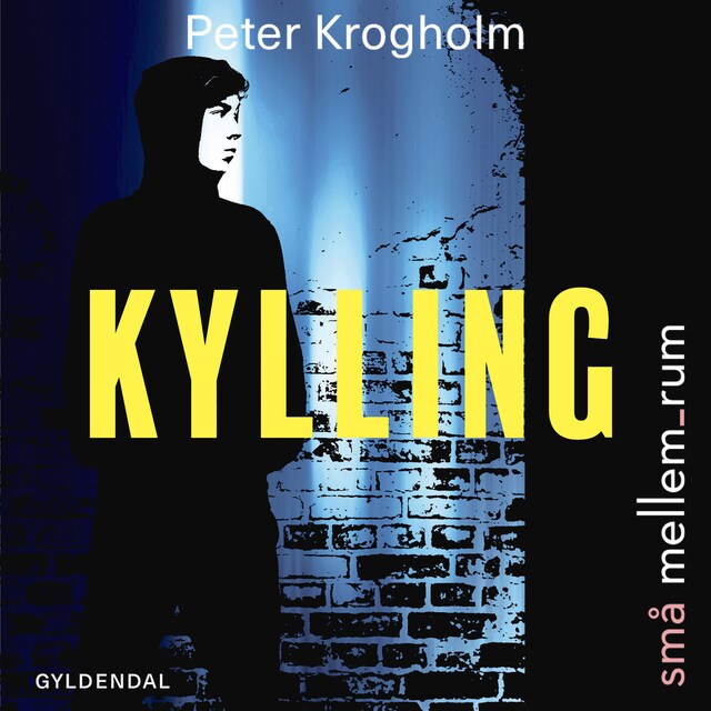 Book cover for små mellem_rum. Kylling