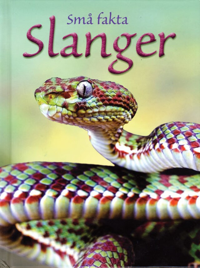 Book cover for Slanger
