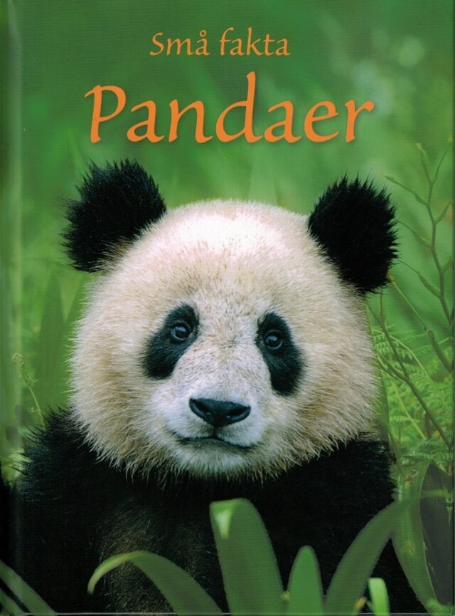 Boekomslag van Pandaer