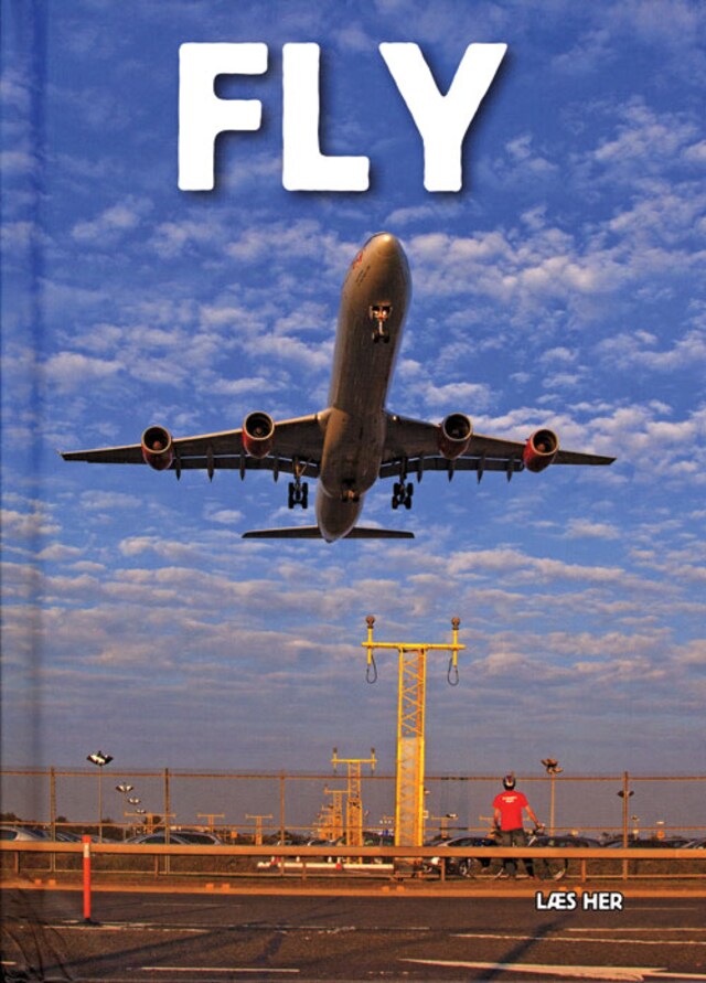 Book cover for Fly