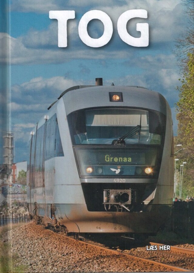 Buchcover für Tog