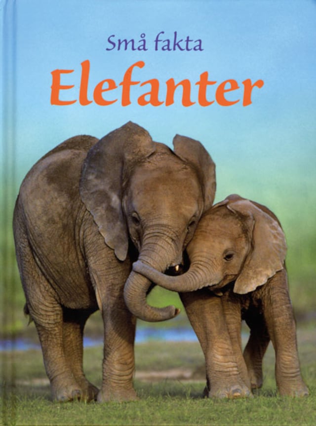 Book cover for Elefanter
