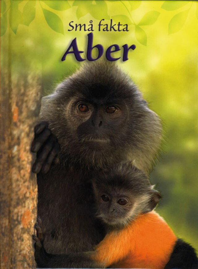 Book cover for Aber