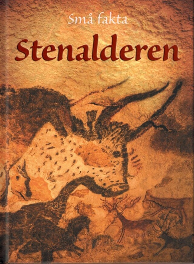 Book cover for Stenalderen