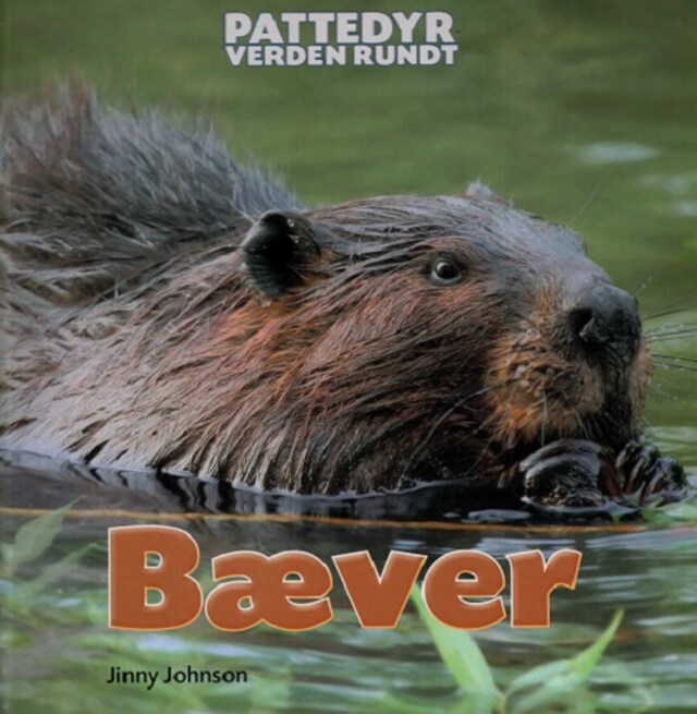 Book cover for Bæver
