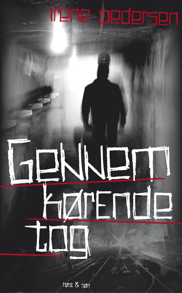 Couverture de livre pour Gennemkørende tog