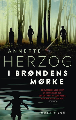 I brøndens mørke bookCoverFor