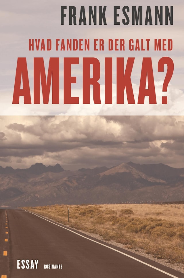 Book cover for Hvad fanden er der galt i Amerika?