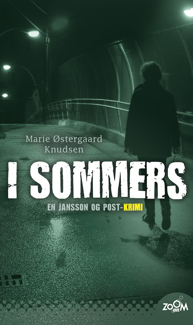 Book cover for I sommers