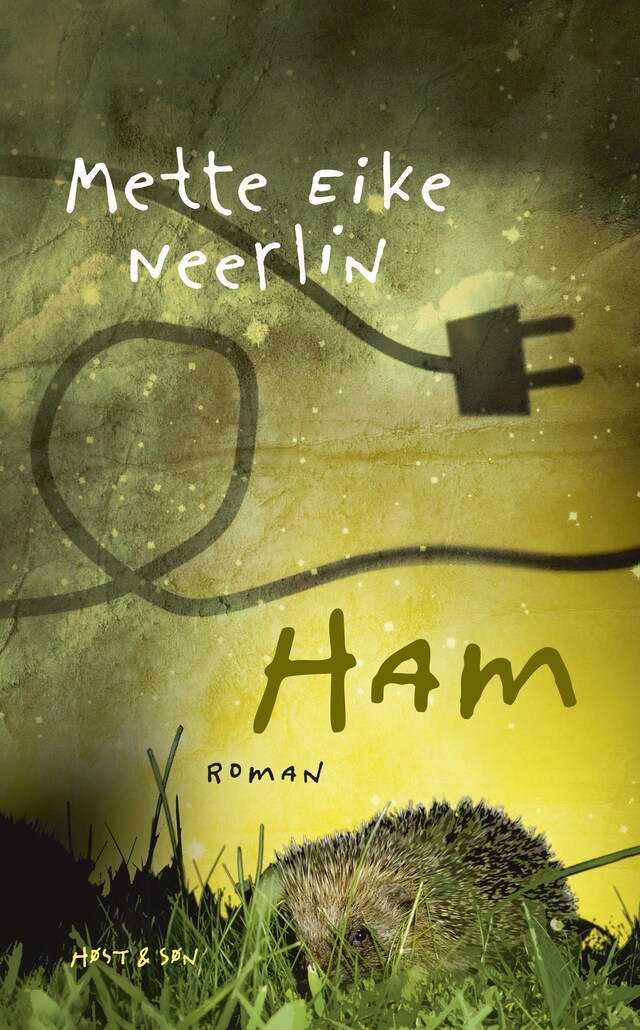 Book cover for Ham