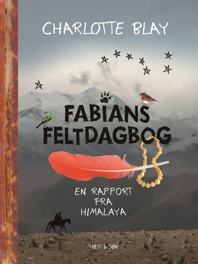 Book cover for Fabians Feltdagbog